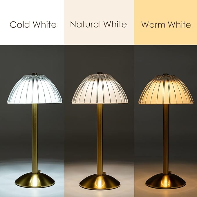 HEQET Cordless Table Lamps for Home,Table,Dining Room, Gold Rechargeable Lamps, USB Charge 12'' Tall LED Brass Portable Outdoor Indoor Table Lamp with Built-in Dimmer (Pack2-Gold Lamp)