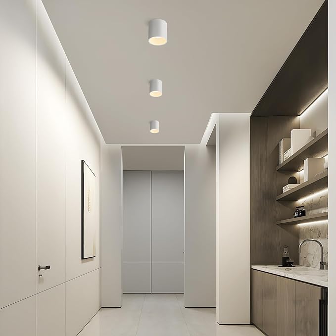 Ceiling Light Fixture LED Dimmable Modern Ceiling Spot Light, Flush Mount Ceiling Light 4.72'' Cylinder Ceiling Lamp for Living Room Hallway Foyer Dining Room 3000K 15W 1500lm CRI 90 (White)