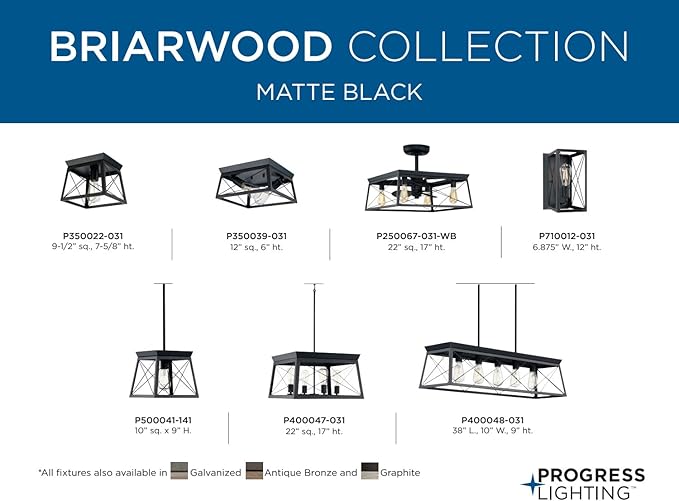 Progress Lighting 1-Light Ceiling Light, Flush Mount Ceiling Light Fixture for Interior Kitchen Lights, Hallway, Bedroom, Living Room, 9.5-Inch by 9.5-Inch, Briarwood Collection, Textured Black