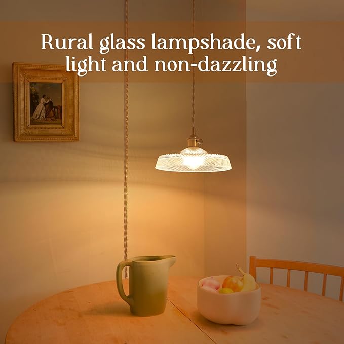 Plug in Pendant Light,9.1 Inch Glass Lampshade 14Ft Hanging Lights with Plug in Cord On/Off Switches Industrial Pendant Lights with Plug in Cord for Bedroom