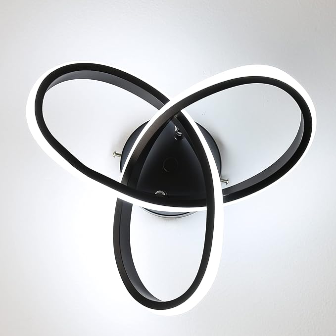 EIDISUNY Modern LED Ceiling Light, 2 Rings Creative Black Hallway Ceiling Lighting 6000K Flush Mount Ceiling Lights for Kitchen Bathroom Cool White Light 22W (Black)