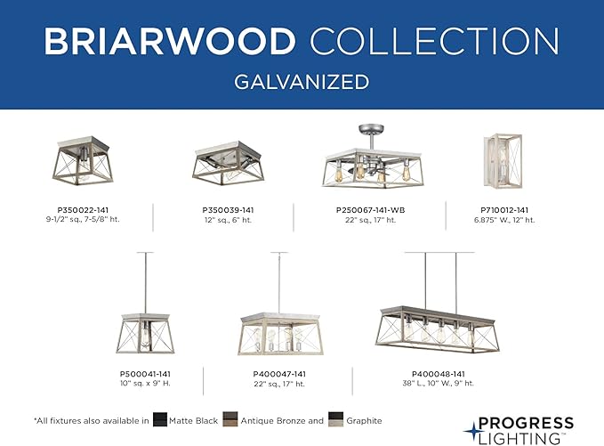 Progress Lighting Briarwood Collection 2-Light Ceiling Light, Flush Mount Ceiling Light Fixture for Interior Kitchen Lights, Hallway, Bedroom, Living Room, 12-Inch by 6-Inch, Galvanized Finish