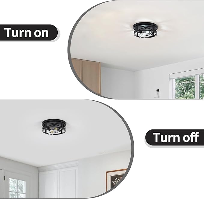 Hallway Ceiling lamp, 11 inch Farmhouse Metal cage Style,Suitable for Corridors, Entrances, Balconies, Kitchens,etc,Adjustable lamp Holders, 2 pcs, 6000K Cold White lamp (Black)