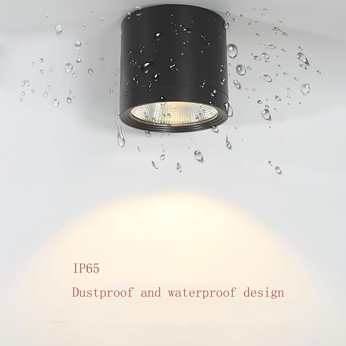 MEGHALI 2pack Outdoor Ceiling Spotlight Modern Spotlight LED 18W Round Waterproof Downlight Outdoor Ceiling Light Black Spotlights for Balcony Terrace 4000K