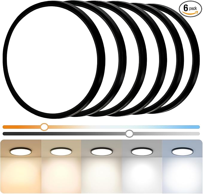 6Pack 12 Inch Slim Dimmable LED Flush Mount Ceiling Light Fixture, 24W=2640LM & 5CCT Selectable (2700K-6500K), Low Profile House Upgrade Led Light for Hallway, Porch & Closets, Black