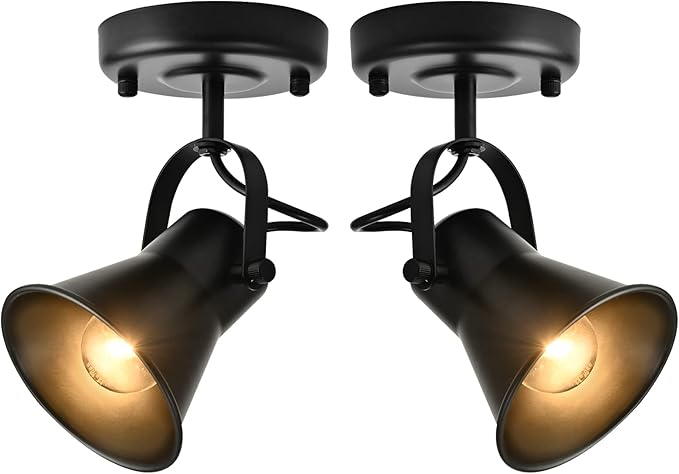 SEEBLEN Track Light Modern Ceiling Spot Lighting Indoor, Adjustable Wall Mount Accent Light,for Bedroom Living Room Hallway Kitchen Painting(2 Pack)