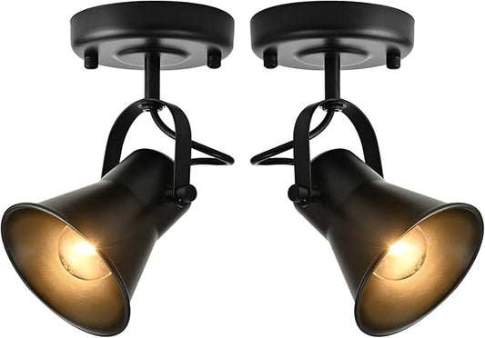 SEEBLEN Track Light Modern Ceiling Spot Lighting Indoor, Adjustable Wall Mount Accent Light,for Bedroom Living Room Hallway Kitchen Painting(2 Pack)