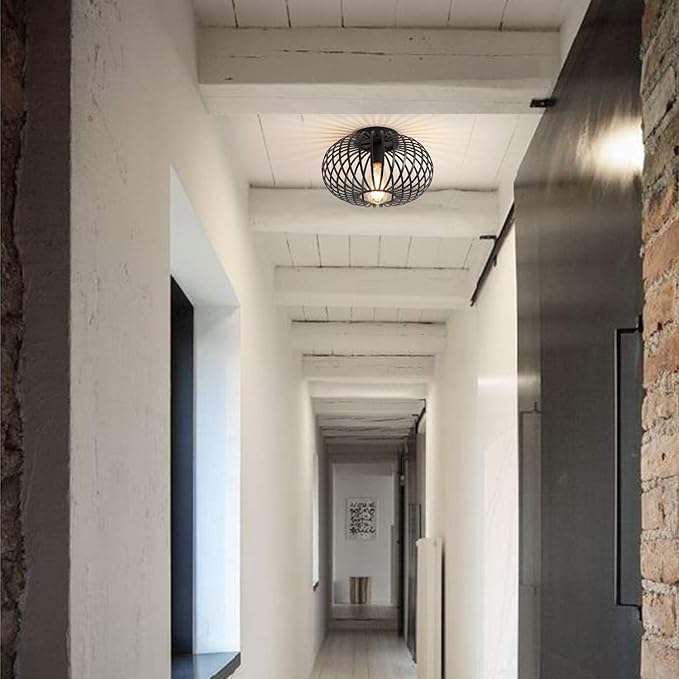Fivess Lighting Modern Black Flush Mount Light Fixture Industrial Metal Cage Semi Flush Mount Ceiling Light for Hallway Living Room Kitchen Entryway Farmhouse