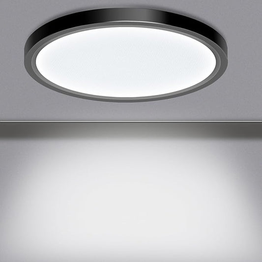 LED Flush Mount Ceiling Light Fixture, 24W 12Inch 3000K/3500K/4500K/5000K/6500K 5 Color Changeable 2880LM Low Profile Ceiling Light for Bedroom, Living Room, Dining Room, Hallway Black