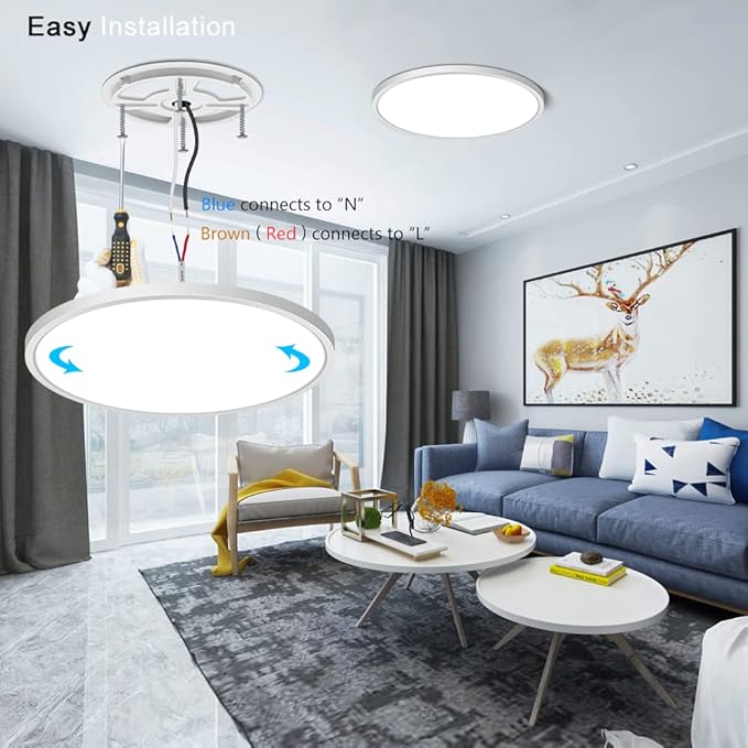 2 Pack 12 Inch LED Flush Mount Ceiling Light Fixture, 5000K Daylight White, 24W 3200LM, Round Flat Ceiling Lights, Bright Slim Low Profile Lighting Fixtures for Bedroom Kitchen Hallway Stairwells