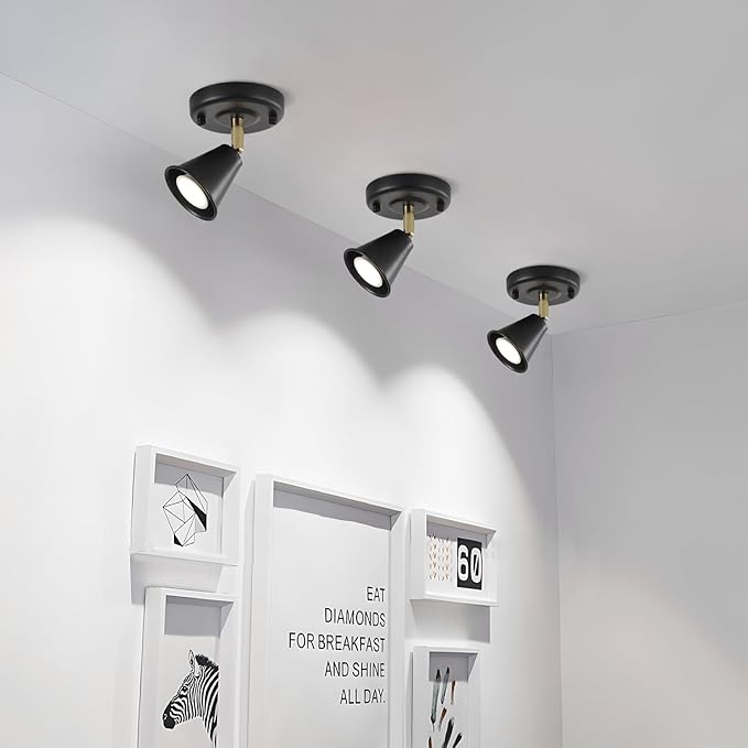 SEEBLEN Modern Flush Mount Ceiling Spot Light, Adjustable Directional Head, Black Spot Lights Indoor, Ceiling/Wall Mounted Single Track Light for Living Room, Corridor, Stairs.（2 Pack ）