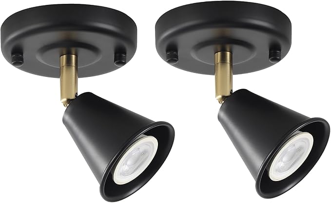 SEEBLEN Modern Flush Mount Ceiling Spot Light, Adjustable Directional Head, Black Spot Lights Indoor, Ceiling/Wall Mounted Single Track Light for Living Room, Corridor, Stairs.（2 Pack ）