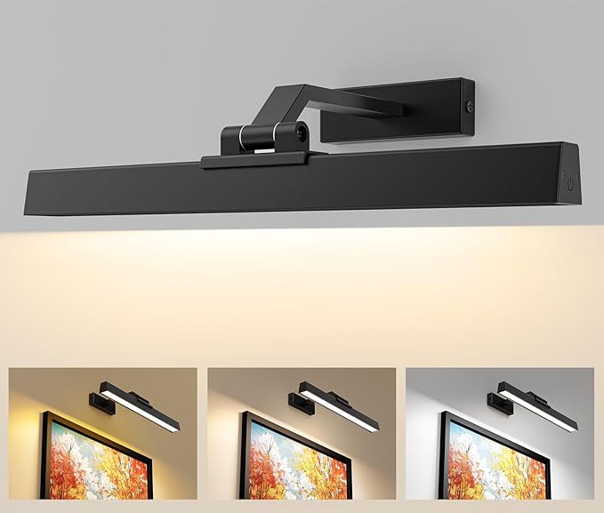 Picture Lights for Wall, Battery Operated Picture Light 16in Gallery Light for Paintings CCT Dimmable Recharging Battery Wall Light with Remote Control for Living Room Gallery Dartboard Art Bathroom