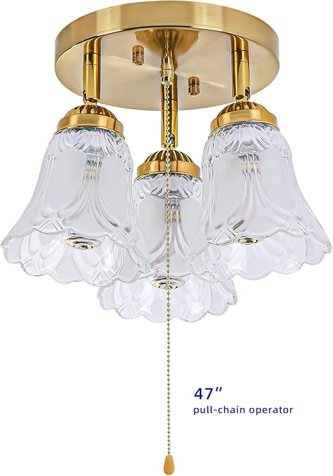 3-Light Flush Mount Ceiling Light with Pull Chain Clear and Frosted Glass Low Profile Lighting Fixtures for Kitchen Living Room Dining Room Closet (Brass)