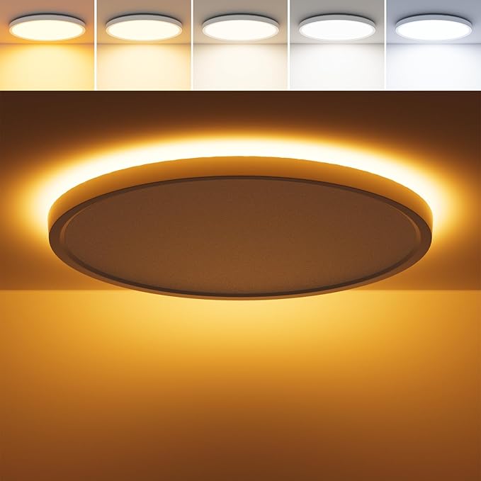 12 Inch LED Flush Mount Ceiling Light with Night Light, 24W 2600LM, 5 Color Selectable (2700K/3000K/4000K/5000K/6500K) & Dimmable, White Round Ceiling Light for Bedroom, Kitchen, Hallway