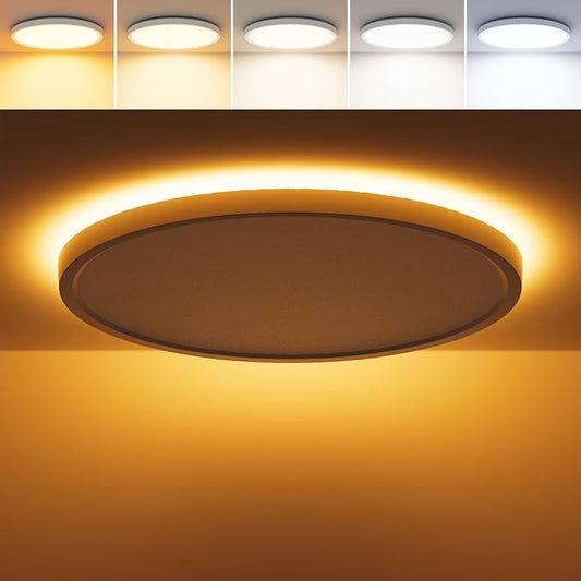 12 Inch LED Flush Mount Ceiling Light with Night Light, 24W 2600LM, 5 Color Selectable (2700K/3000K/4000K/5000K/6500K) & Dimmable, White Round Ceiling Light for Bedroom, Kitchen, Hallway