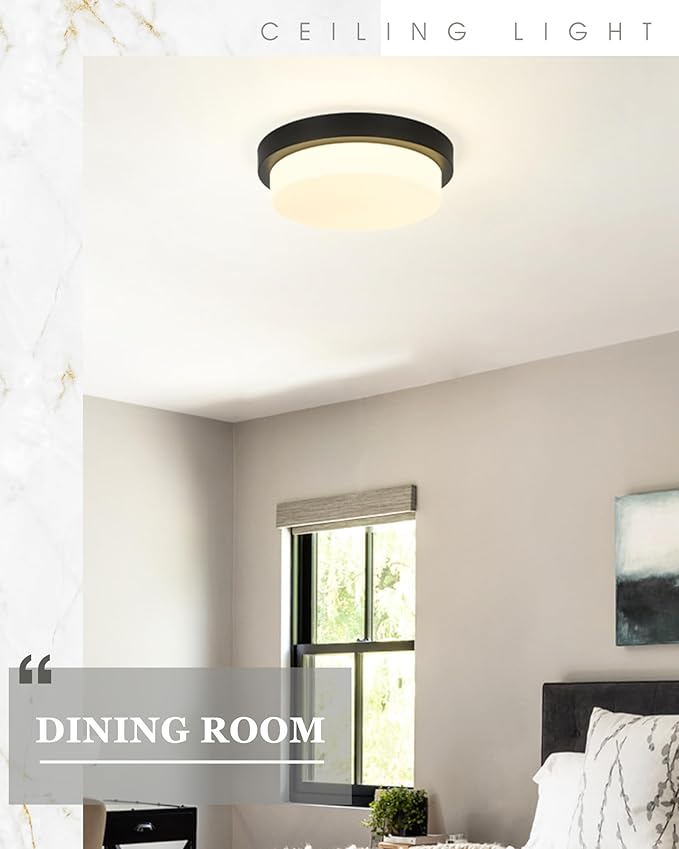 Black Flush Mount Ceiling Light, 13inch Close to Ceiling Light Fixtures 24W 2200lm Dimmable 2700K/3000K/4000K/5000K/6000K LED Ceiling Lamp for Bedroom Hallway Kitchen, AD-22008-L-BK