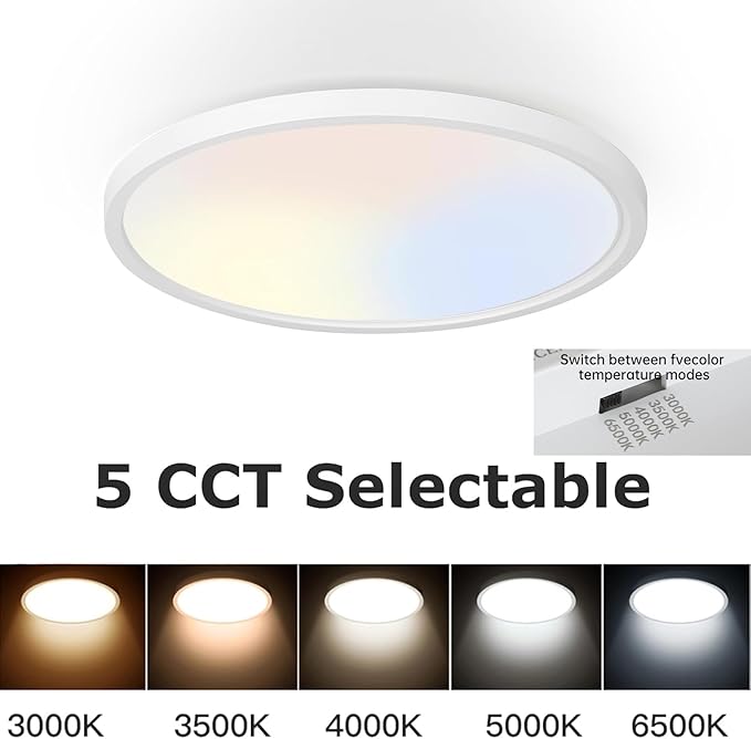 TALOYA 2 Pack of White 10 Inch Ceiling Mount LED Light Fixture, 5-in-1 CCT Selectable, 2000lw 20W Super Bright Round Ultra Slim Surface Mounted Lamp for Basement Foyer Hallway Kitchen