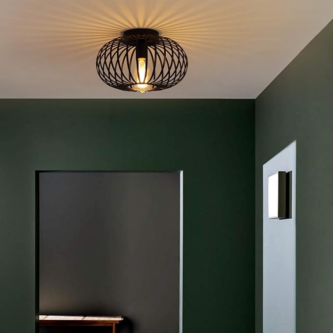 Fivess Lighting Modern Black Flush Mount Light Fixture Industrial Metal Cage Semi Flush Mount Ceiling Light for Hallway Living Room Kitchen Entryway Farmhouse
