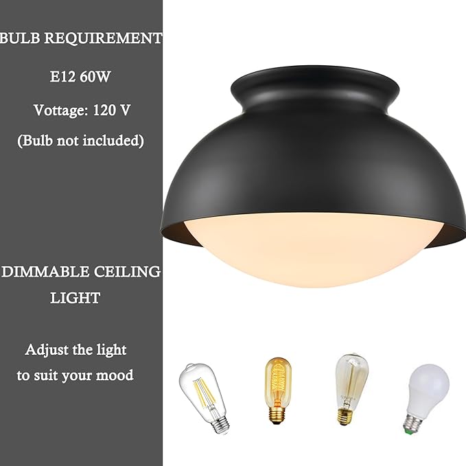 Moose Black Semi Flush Mount Ceiling Light Fixture Modern Ceiling Light for Bedroom Living Room Entryway Hallway