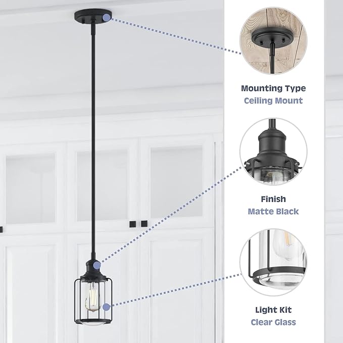 Prominence Home Lincoln Woods 1 Light Matte Black Industrial Pendant Light with Cage and Clear Glass - 51546-01