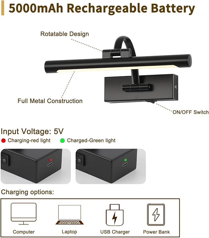 DESOOP Battery Operated Picture Lights for Wall Black Art Light Wireless Gallery Lights with Timer and Remote 12 Inch 2W Warm White