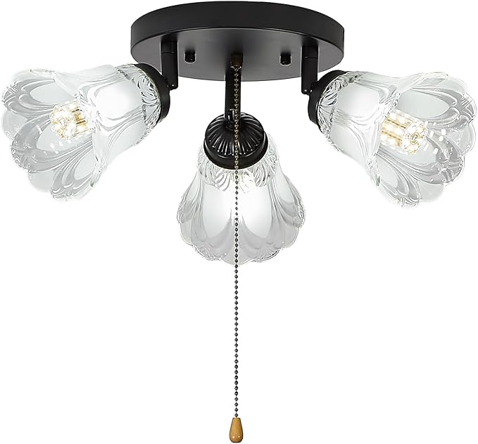 3-Light Flush Mount Ceiling Light with Pull Chain Clear and Frosted Glass Low Profile Lighting Fixtures for Kitchen Living Room Dining Room Closet, Black