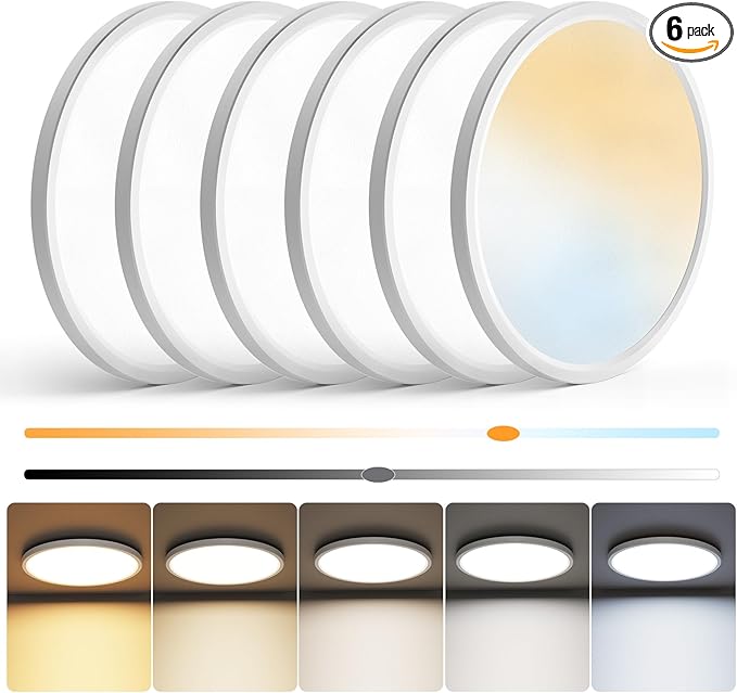 NIORSUN 12 inch Flush Mount LED Ceiling Light Fixture, Dimmable 3000K-6500K Adjustable Lights, Ultra Thin White Round Lamp, 24W Ceiling Lights for Hallway, Kitchen, Bedroom, 6 Pack