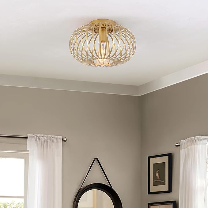 Fivess Lighting Modern Gold Flush Mount Light Fixture Metal Cage Single Semi Flush Mount Ceiling Light for Hallway Bedroom Kitchen Entryway Farmhouse