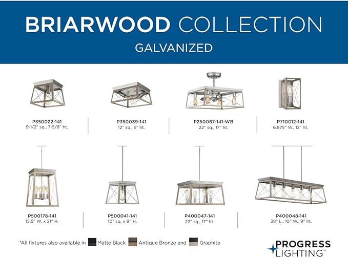 Progress Lighting Briarwood Collection 2-Light Ceiling Light, Flush Mount Ceiling Light Fixture for Interior Kitchen Lights, Hallway, Bedroom, Living Room, 12-Inch by 6-Inch, Galvanized Finish