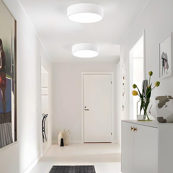 Modern White Flush Mount Ceiling Light, 2-Lights Round Ceiling Light, Minimalistic Ceiling Lamp Acrylic Shade Lighting Fixture for Bedroom Laundry Room Bathroom Hallway(11.8 Inch)