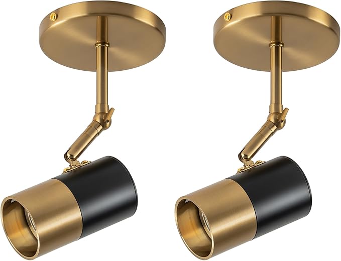 Modern Ceiling Spotlight, Gu10 Spot Lights Indoor with 350° Pivoting, 2-Packs Adjustable Directional Spotlight Indoor, Black and Gold Ceiling/Wall Light for Gallery, Cabinet, Hallway