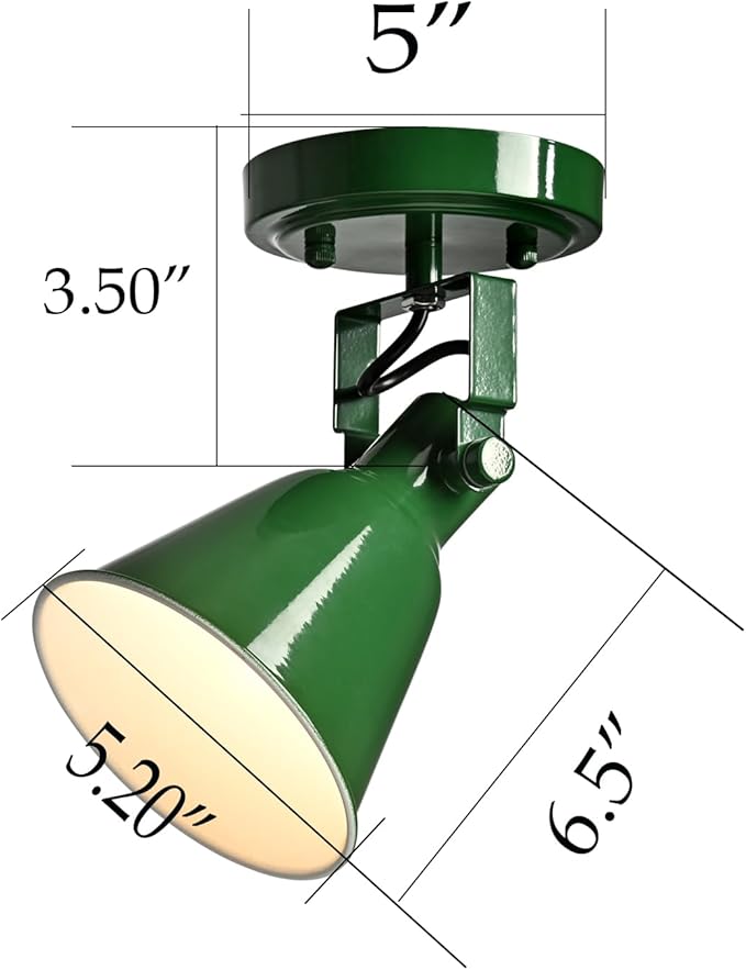 DIRYZON 1-Light Adjustable Green Spotlight, Semi Flush Mount Track Light Ceiling Light Fixture for Bedroom, Kitchen, Hallway & Wall Art Display