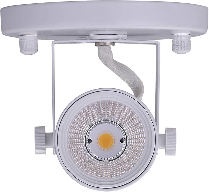 CLOUDY BAY LED Flush Mount Ceiling Spot Light,CRI90+ 8W 600lm 3000K Warm White Dimmable,Adjustable Tilt Angle Ceiling Light Fixture,White Finish