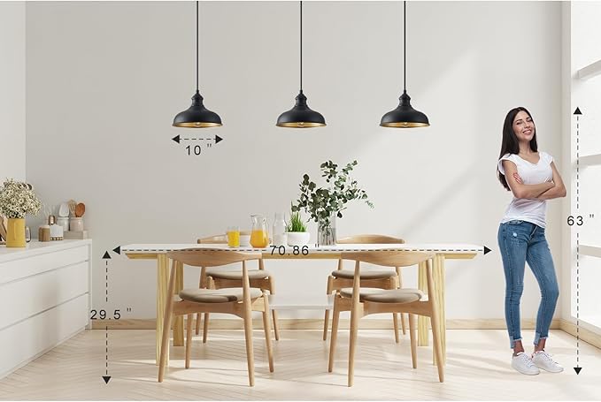 10in Dome Outdoor Pendant Barn Lights Black Kitchen Island Pendant Lamp with Brass Interior, Hallway Porch Ceiling Hanging Lights, Farmhouse Style Indoor Pendant Fixture for Home, Ajustable