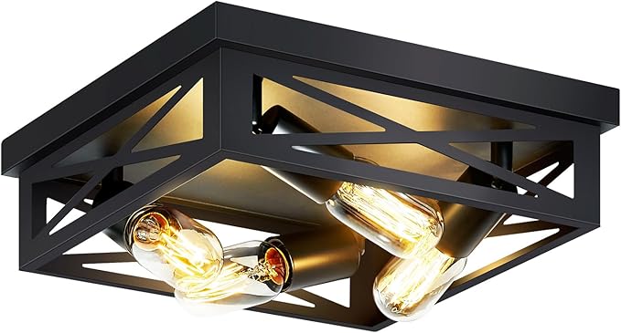 ZHU YAN 4-Light Black Hallway Light Fixture,Farmhouse Industrial Fixture with E26 Base,Cage Ceiling Fixture for Kitchen,Living Room,Hallway,Bedroom 1 Pack