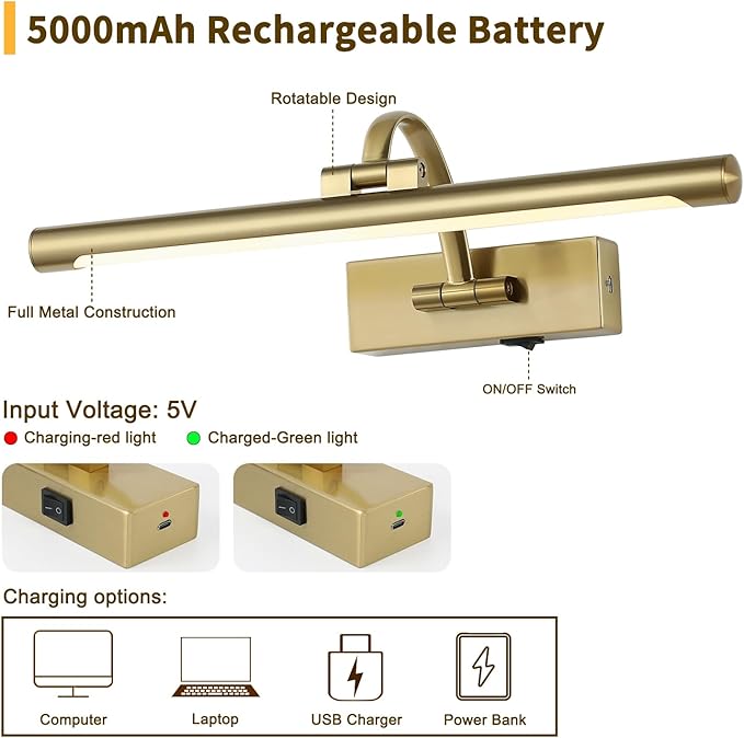 DESOOP Battery Operated Picture Light with Remote and Timer, Wireless Art Lights for Paintings Brass Rechargeable Gallery Light Dimmable Artwork Lighting for Canvas, Portrait 16'' Inch Warm White