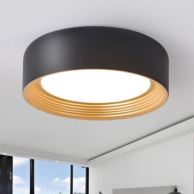 Dimmable Modern LED Flush Mount Ceiling Light,11.8 Inch 5CCT 24W/3000K-6000K,Minimalist Round Black and Gold Close to Ceiling Lighting Fixtures for Kitchen,Hallway,Laundry Room,Entryway,Porch