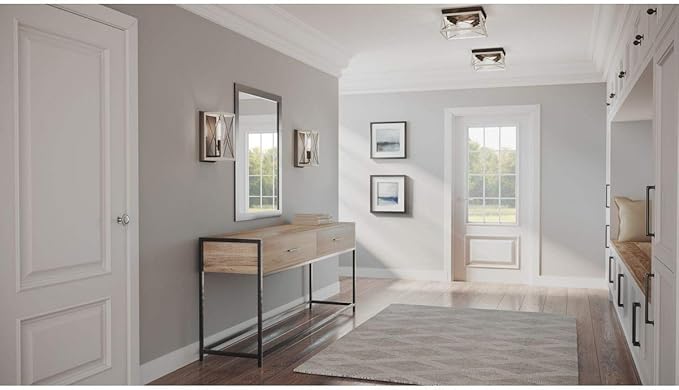 Progress Lighting Briarwood Collection 2-Light Ceiling Light, Flush Mount Ceiling Light Fixture for Interior Kitchen Lights, Hallway, Bedroom, Living Room, 12-Inch by 6-Inch, Graphite