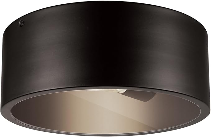 GLOBE Electric 44479 Teagan 1-Light Outdoor Indoor Flush Mount Ceiling Light, Dark Bronze, Clear Glass Shade, Bulb Not Included