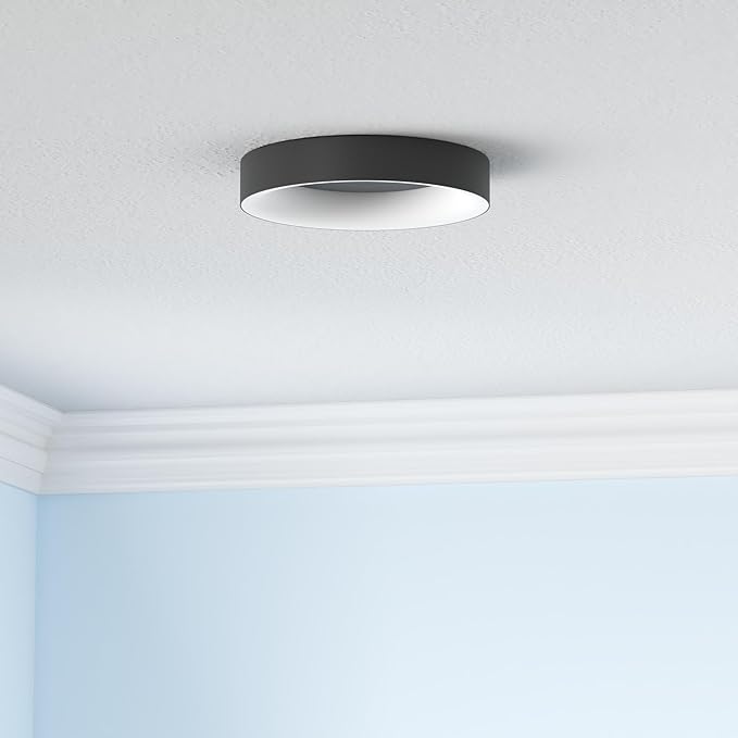 Annaror RGB Led Flush Mount Ceiling Light with Remote Control, 11 Inch 24W Black Ceiling Light Fixture, 3000K-6500K Light Color Changeable, Modern Ceiling Lights for Bedroom Kids Room