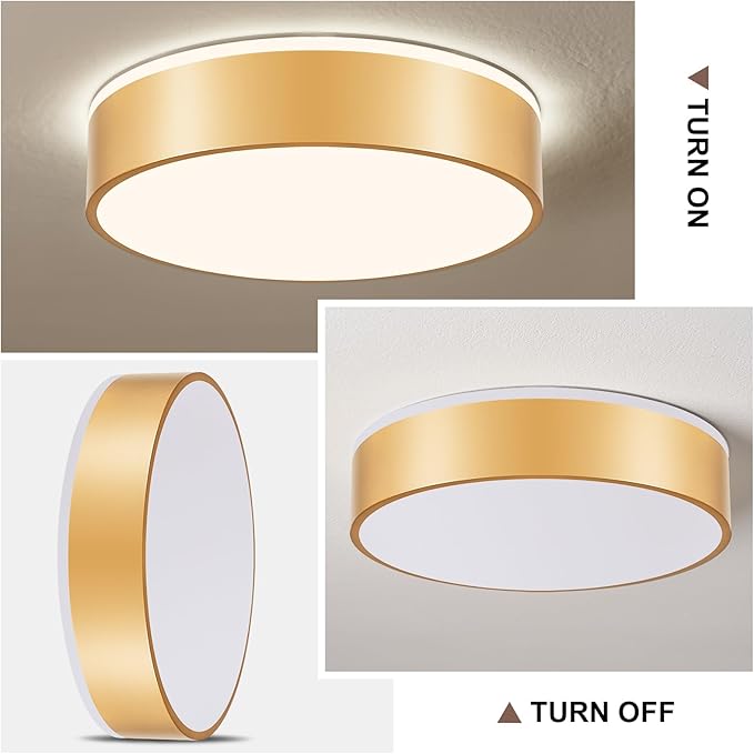 YURNYQ Gold LED Flush Mount Ceiling Lights, Modern Dimmable 5CCT Close to Ceiling Light, Minimalist Overhead Round Kitchen Lighting Fixtures for Bedroom Hallway Entryway Living Room, 15.8 Inch
