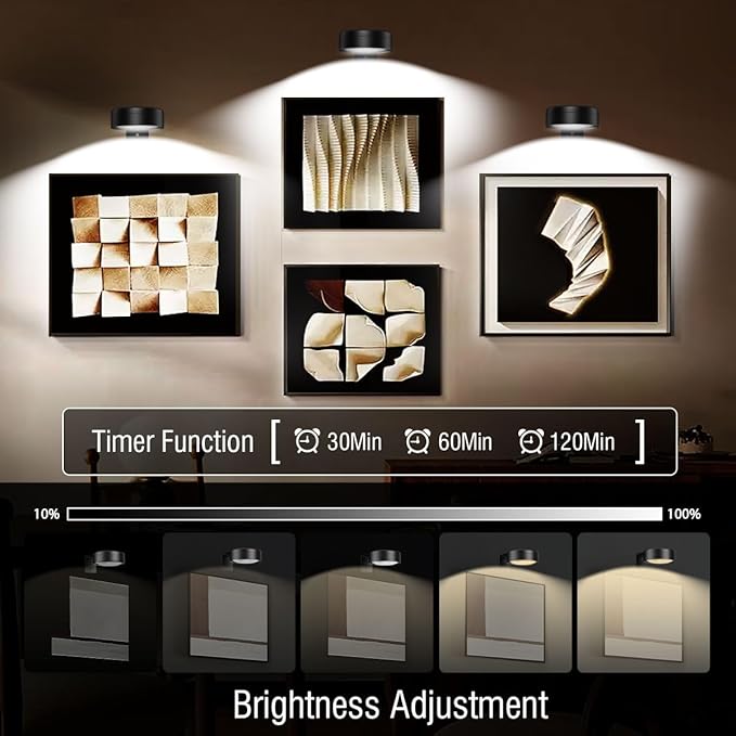 Xuolder Picture Lights for Wall,2000mAh Rechargeable Battery Poster Lights LED Magnetic Painting Light with Remote Control,3 Color Temps&12 RGB Timer Dimmable Wall Light for Art Display Wall Decor
