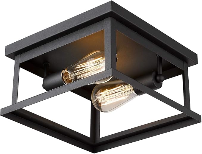 Emliviar Flush Mount Light Fixture, 2-Light 11-inch Ceiling Light in Black Finish, 1803EW1-F1 BK
