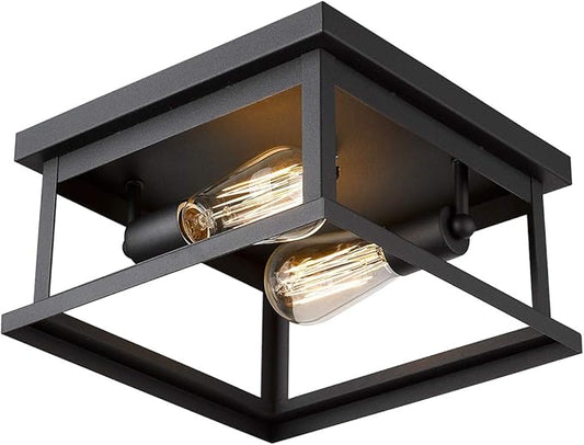 Emliviar Flush Mount Light Fixture, 2-Light 11-inch Ceiling Light in Black Finish, 1803EW1-F1 BK