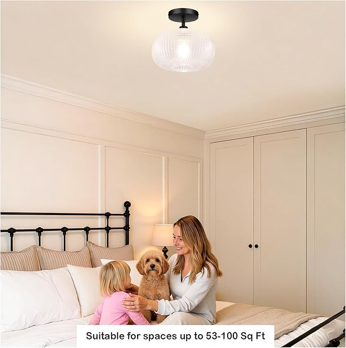 Semi Flush Mount Ceiling Light,Globe Glass Ceiling Lights,Black Hallway Light Fixtures,Entryway Light Fixture,Kitchen Lighting Fixtures Ceiling,Modern Hanging Lighting for Closet,Foyer