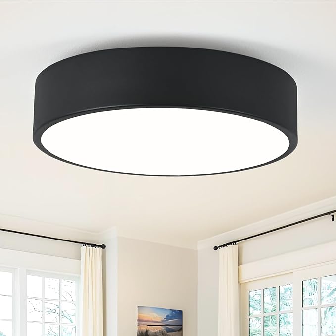 Modern Flush Mount 2-Light Round Black Ceiling Light Fixture, Minimalistic Acrylic Shade Lighting for Bedroom, Laundry Room, Foyer, Hallway (11.8")