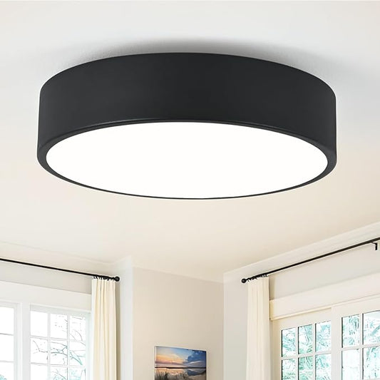 Modern Flush Mount 2-Light Round Black Ceiling Light Fixture, Minimalistic Acrylic Shade Lighting for Bedroom, Laundry Room, Foyer, Hallway (11.8")