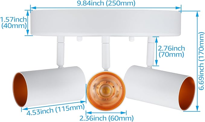 LEONLITE 36W 5CCT 3 Light LED Directional Ceiling Spotlight Fixtures, Adjustable Spot Light Flush Mount, Dimmable Accent Lighting for Kitchen, Hallway, 110-277V, 3200lm, CRI90, White