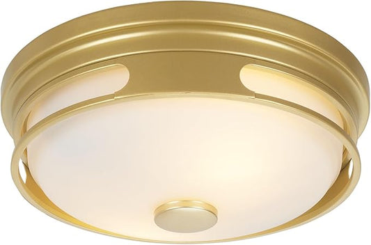 Close to Ceiling Light Fixture, Flush Mount Ceiling Light with Frosted Glass Shade, 2-Light Modern Country Black White Ceiling Lamp for Kitchen Bathroom Hallway Entryway Foyer Black ROS64A BG